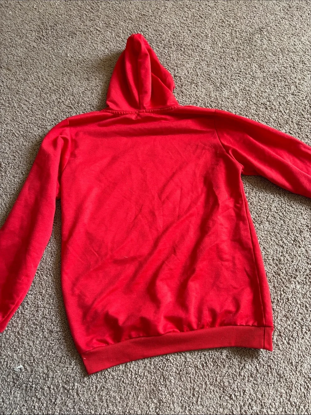 #280 Jurassic World Red Graphic Hoodie Sweatshirt - Kids